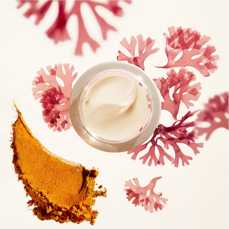 Moisturizers & Creams Benefiance Wrinkle Smoothing Day Cream SPF 23 Anti-Aging Daytime Moisturizer with Sun Protection